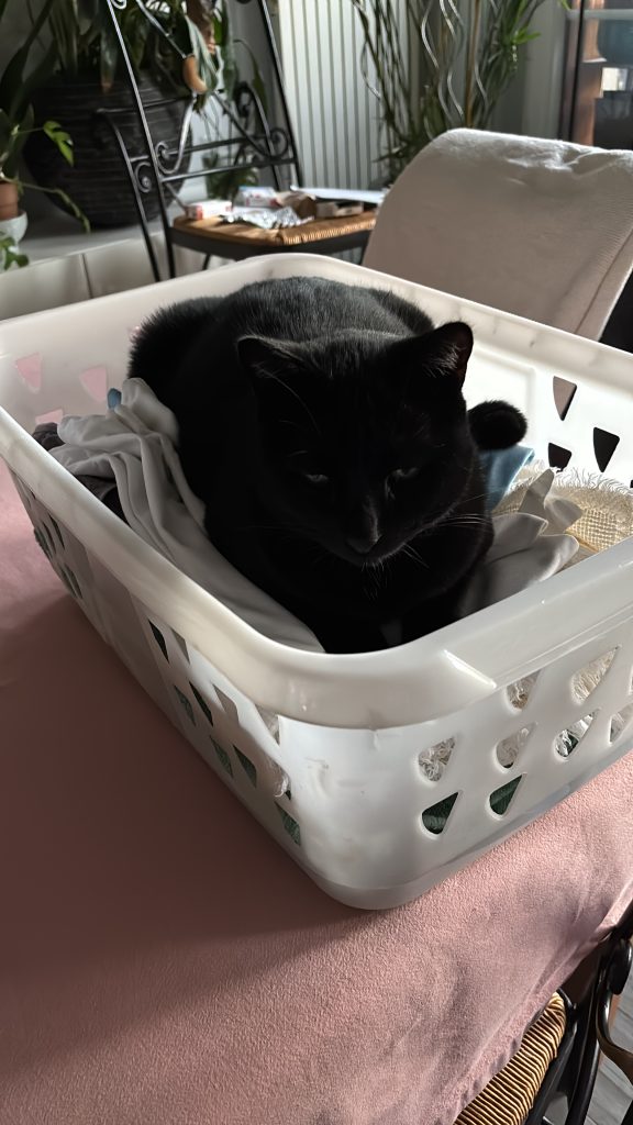 053EF9B5 A844 45C9 B824 7A1FAA2AF53F 2