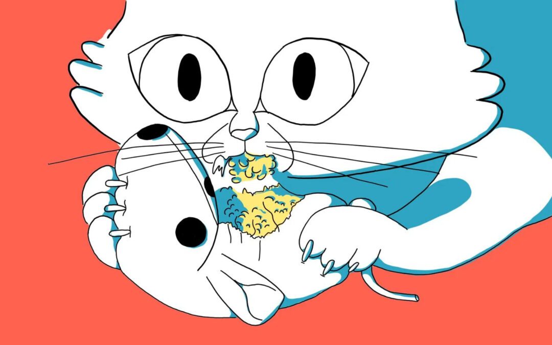 “Born to survive, le chat” sur ARTE