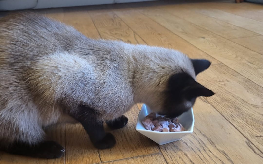 BARF pour chat avec les produits Sally & Cie