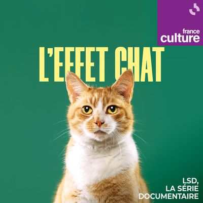 Quand France Culture raconte notre histoire avec le chat