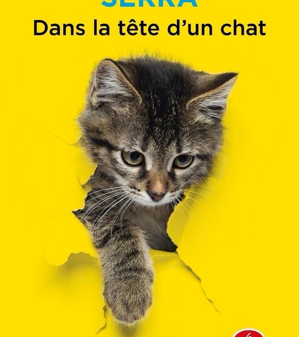 📚 « Dans la tête d’un chat » – Livre de Jessica Serra