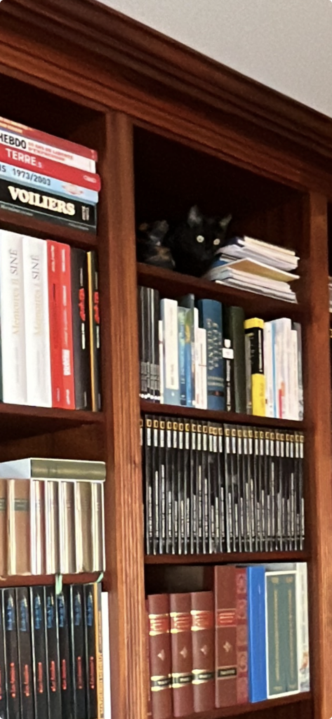 Afficher les photos récentes 2