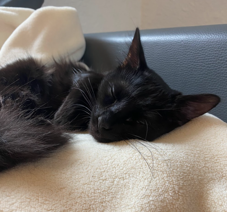 Sally se repose