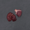Foie coeur volaille gif 2