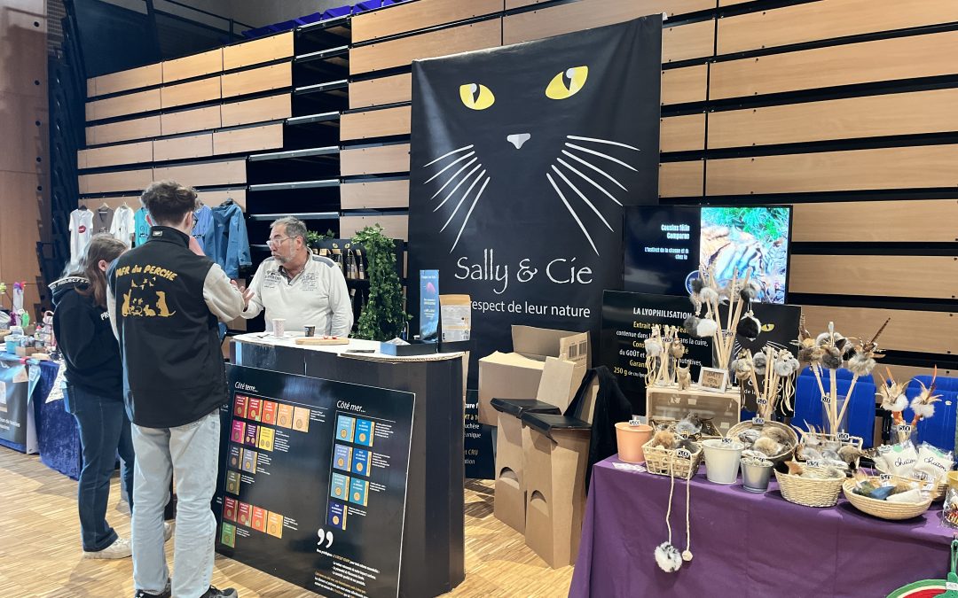 Sally & Cie à Mortagne-au-Perche : chronique d’un week-end félin très gourmand.