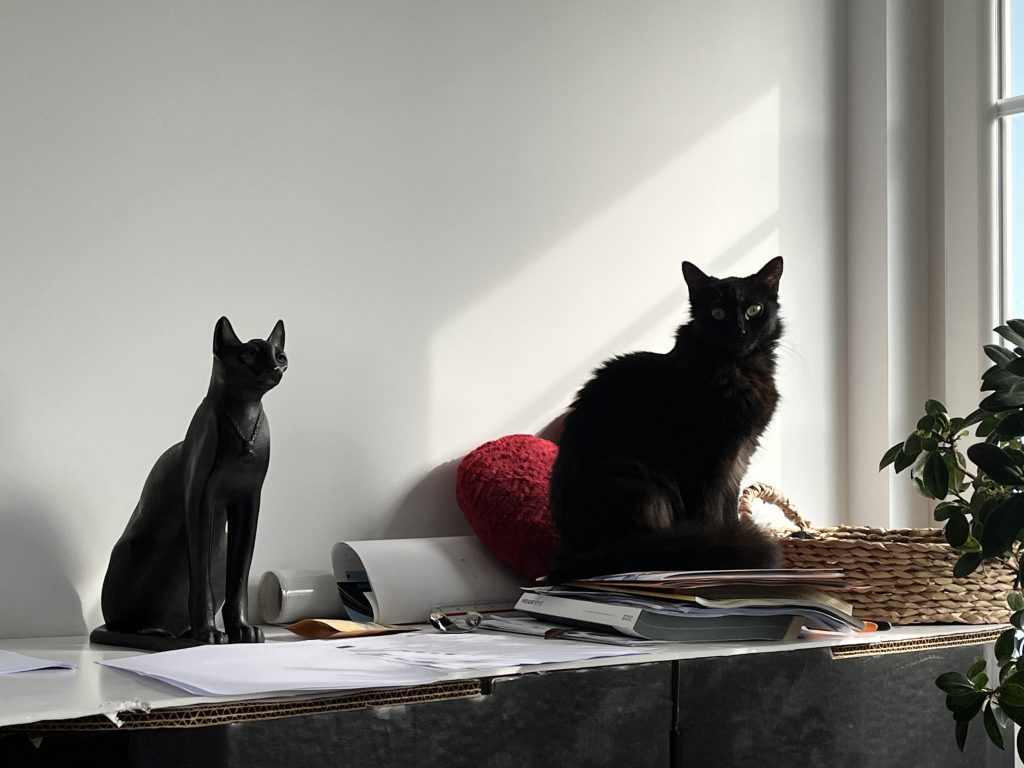 Sally et Basteth