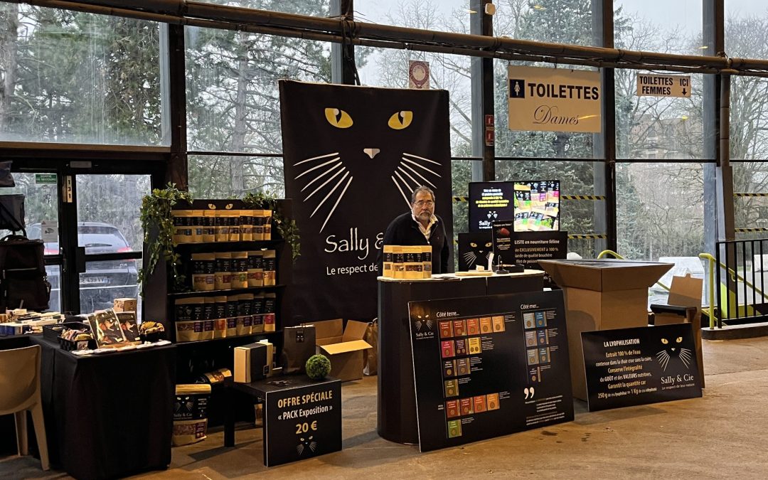 Quand Cambrai ronronne : retour sur l’exposition féline des 13 et 14 février…