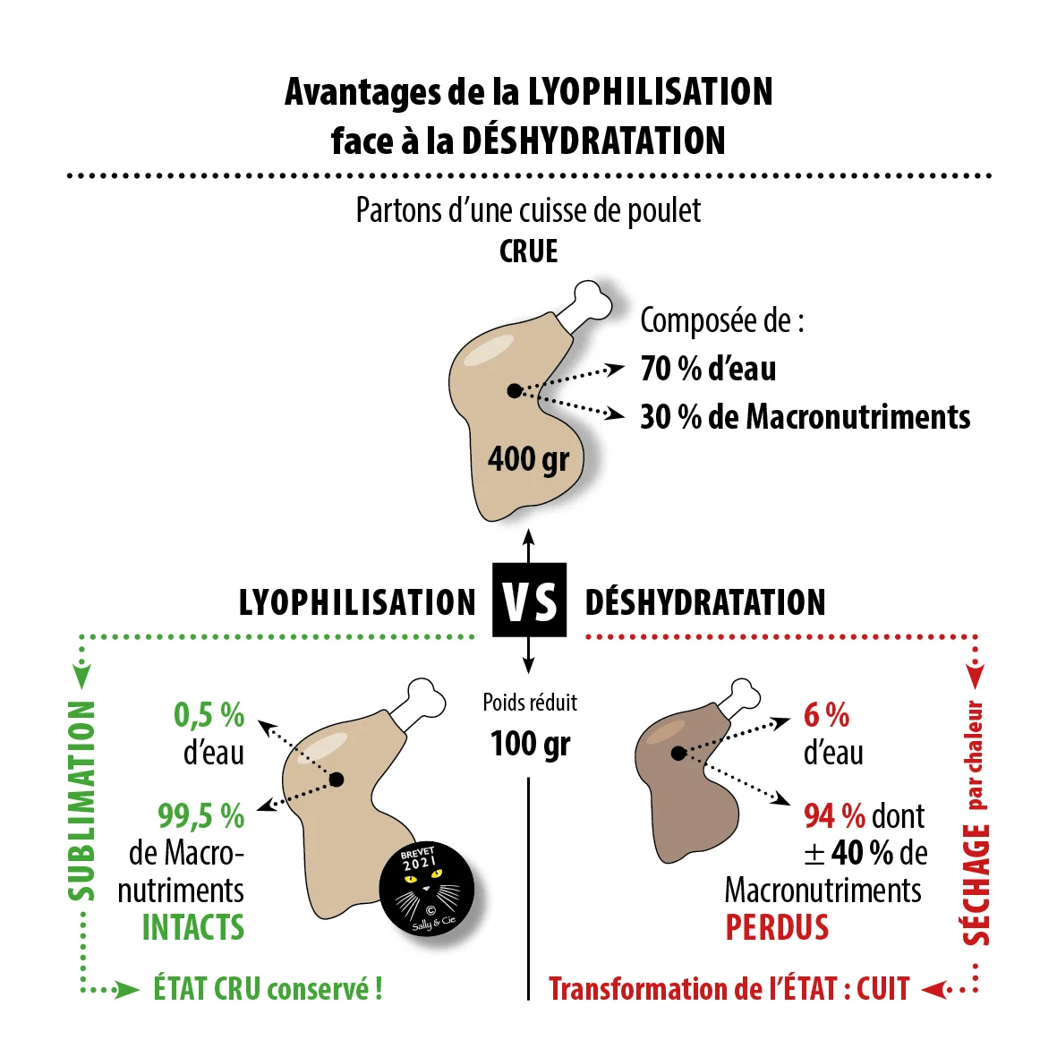 Infographie Lyophilisation vs deshydratation