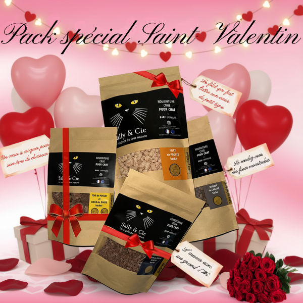 Pack Saint Valentin