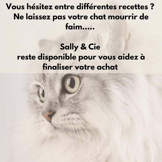 Alimentation BARF pour Chat OH'VEAU