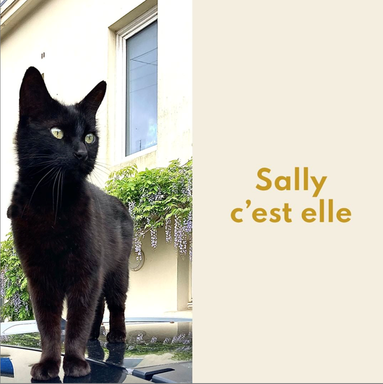 Sally cest elle