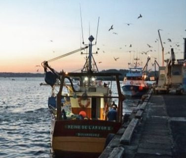 Sally et Cie Port de Douarnenez Soleil couchant edited