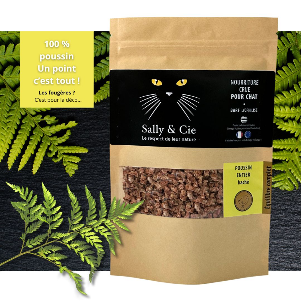 Slide poussin Site.jpg