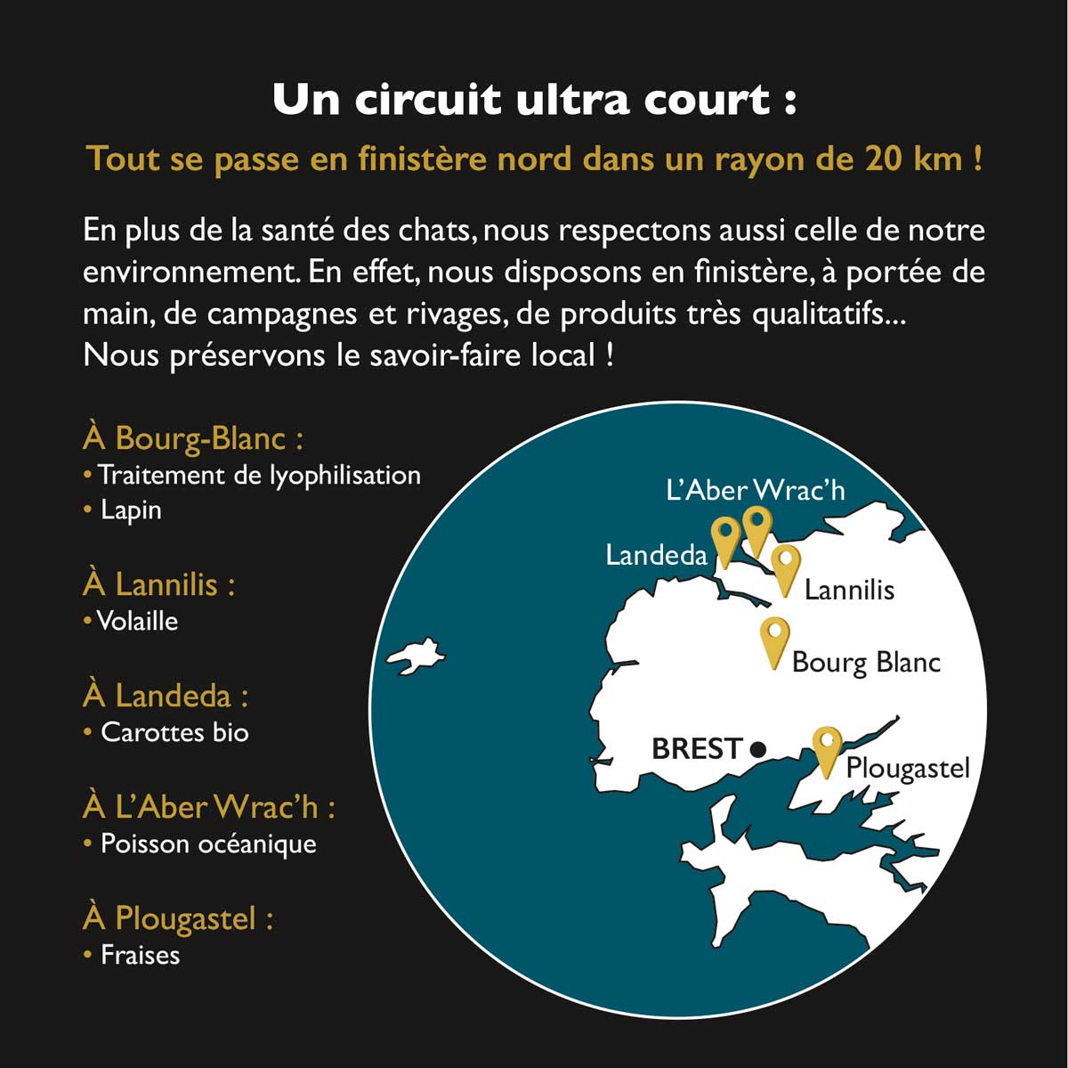 circuit court sally et cie