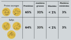 comment nourrir chat avec sally