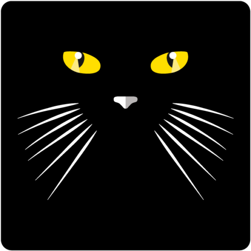 Les chats noirs portent malheur ?