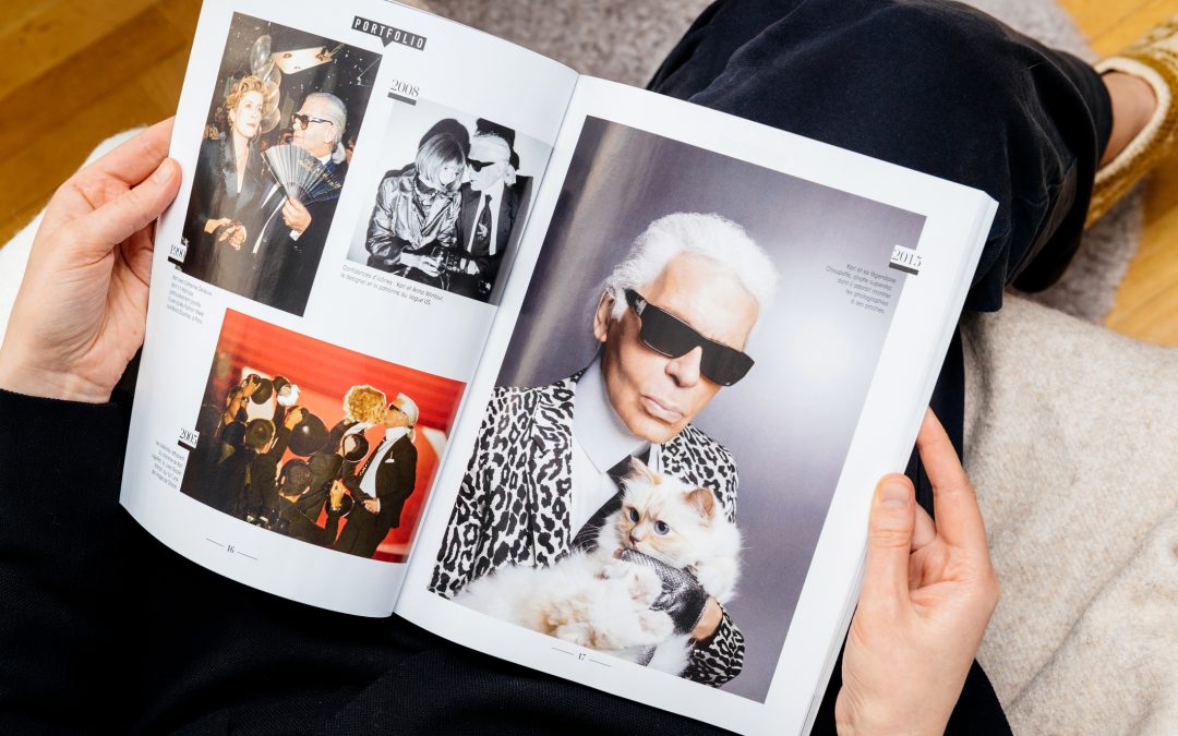 Le chat aime-t-il le luxe ?