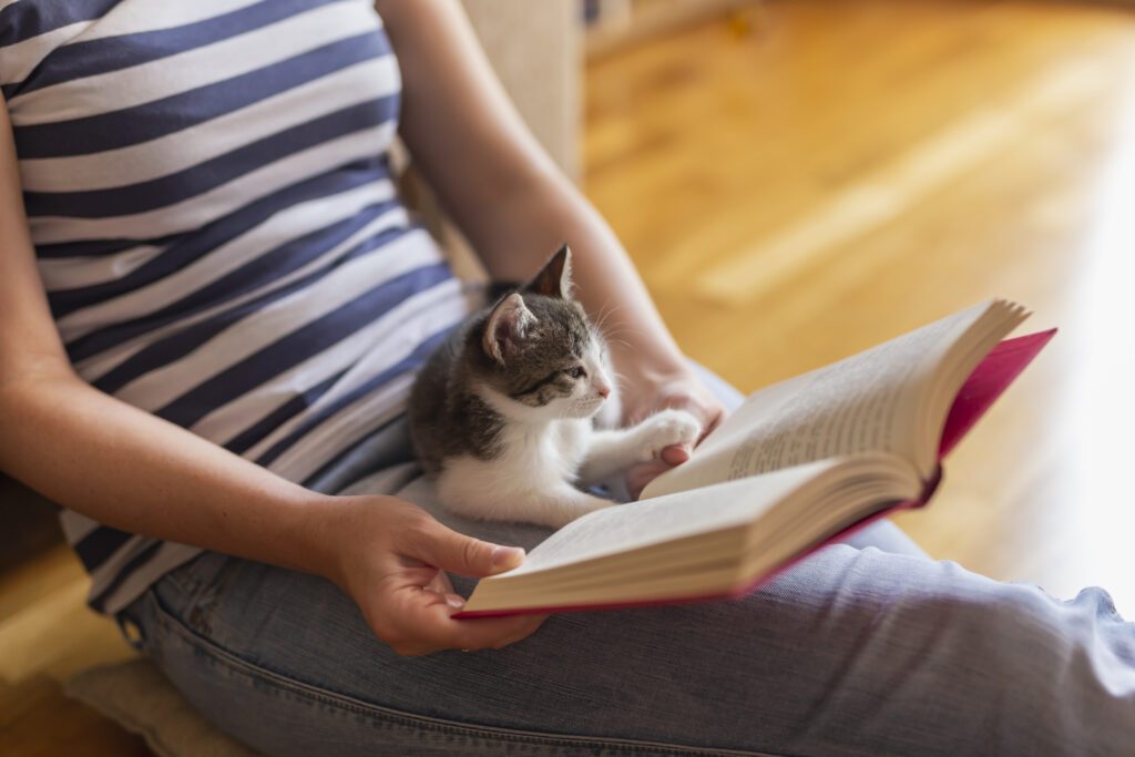 Quelle affinité mystérieuse entre les chats et les livres ?