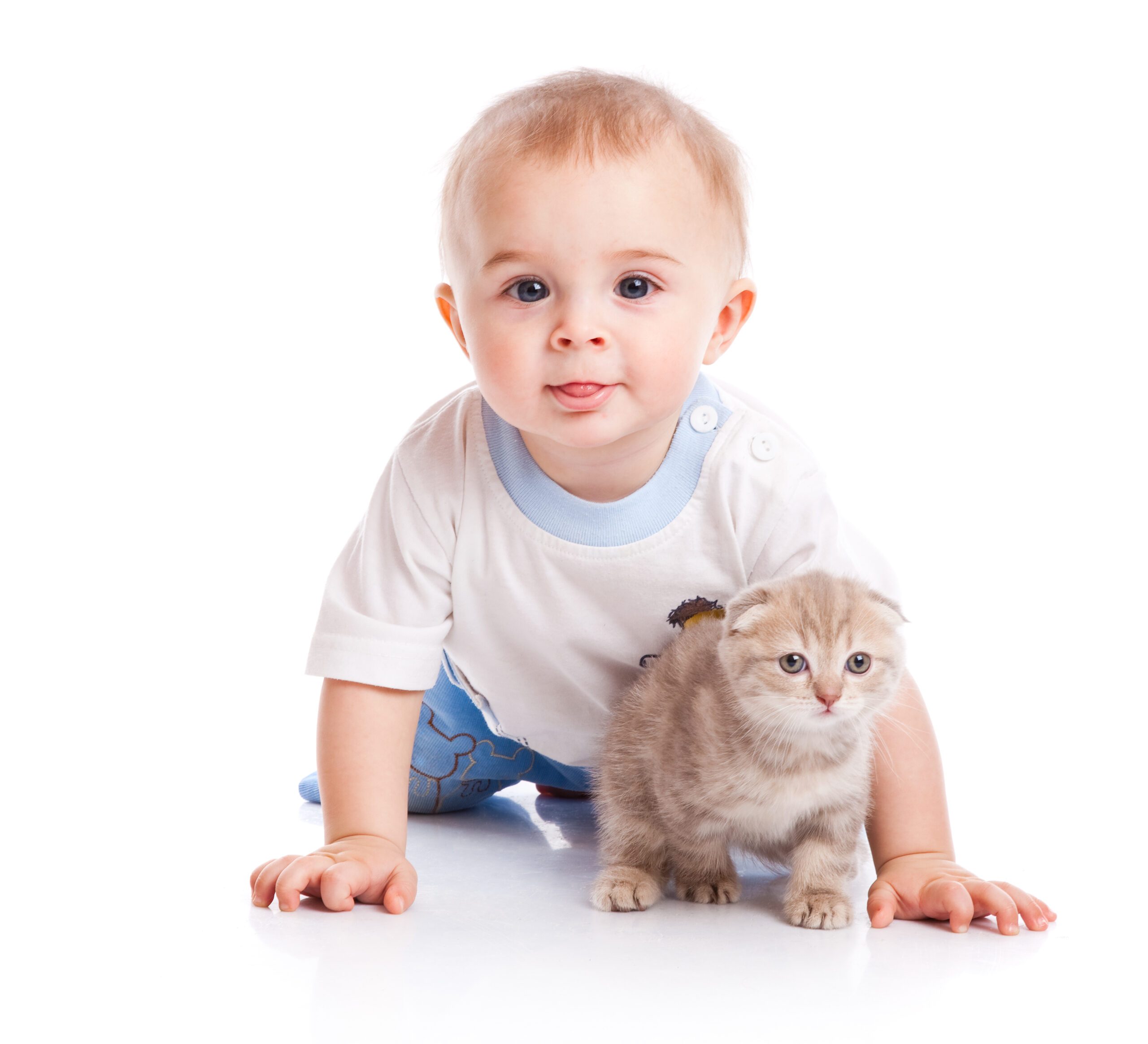 Le chat et bébé