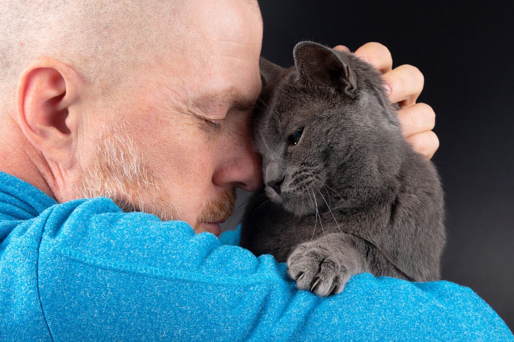 sally et cie chat amour humain sally et cie chat amour humain