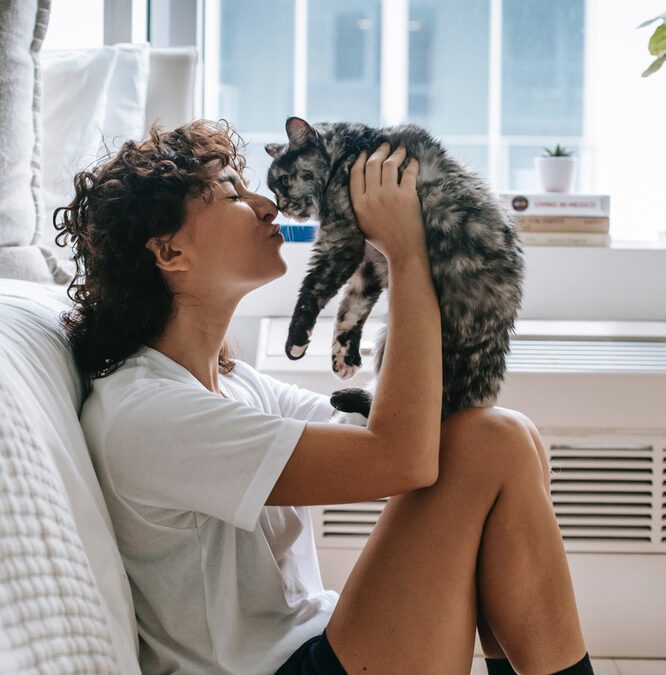 Comment le chat communique-t-il avec nous ?