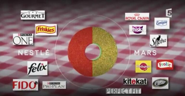sally et cie france television marque