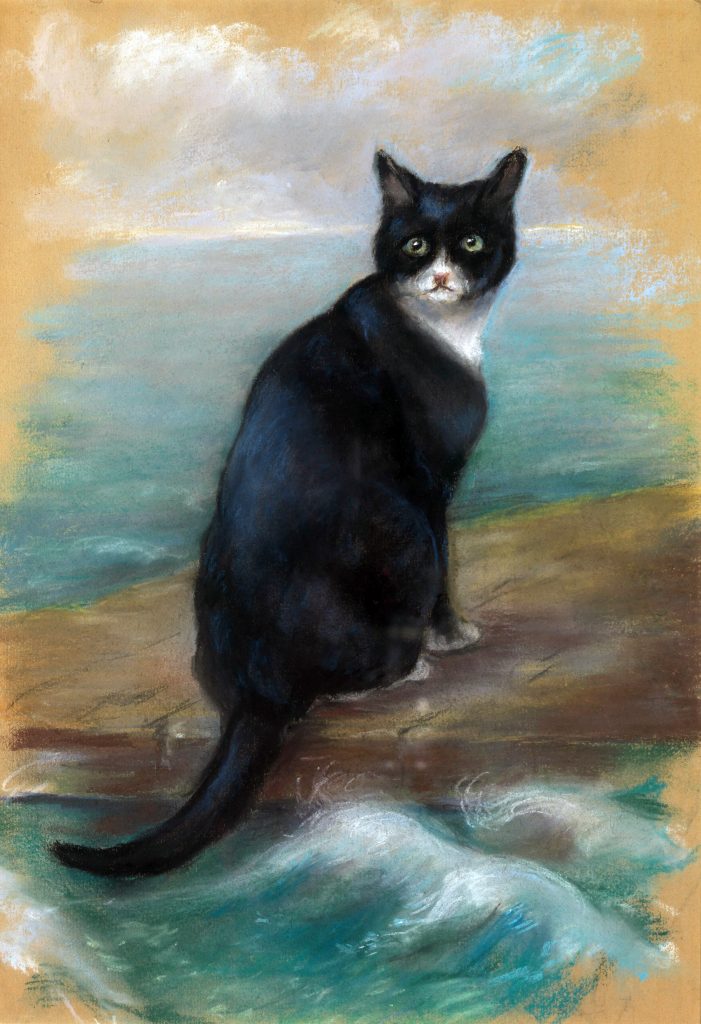 sam l'insubmersible